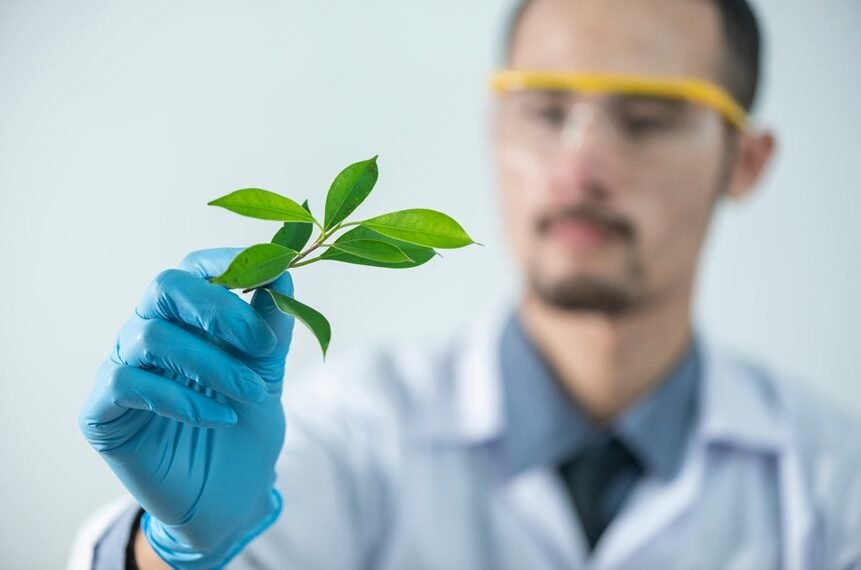 Biotech Budvex 2409301374 Phytocanna Xorlyn