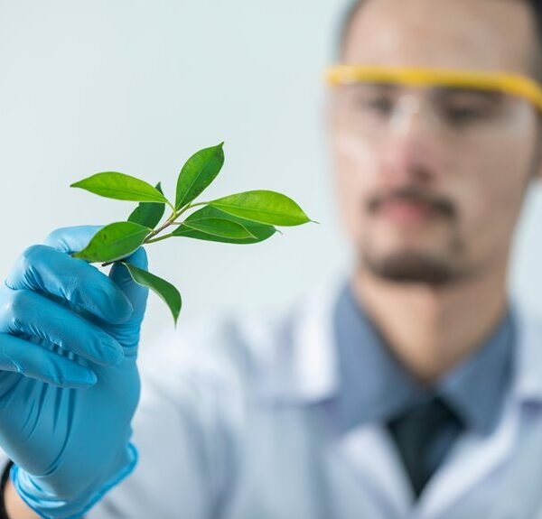 Biotech Leafix 7042282494 Phytobit Xandyl