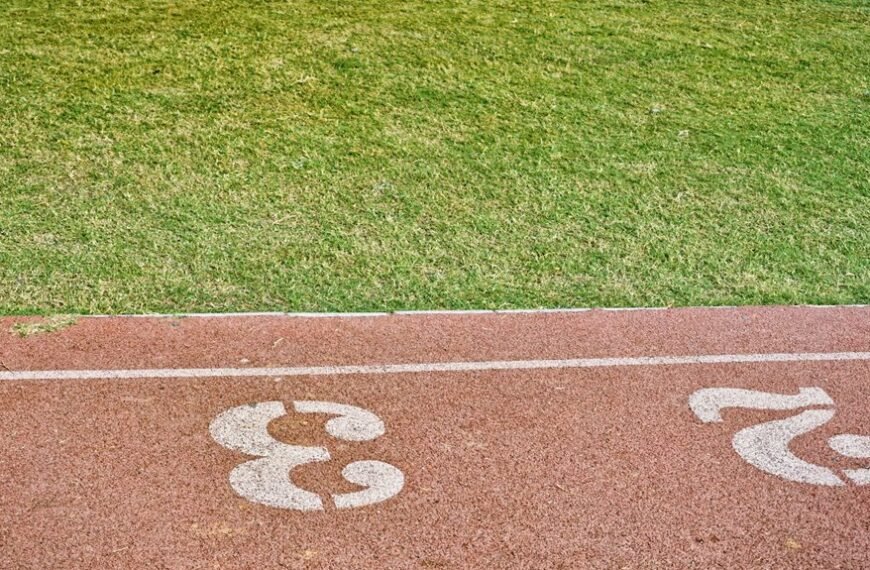 contact for lawn care