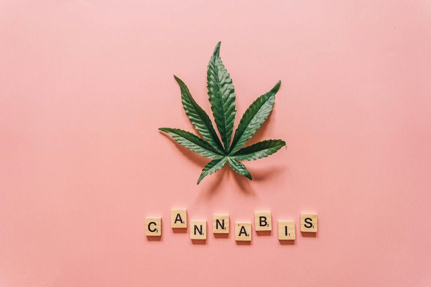 medical cannabis resource guide