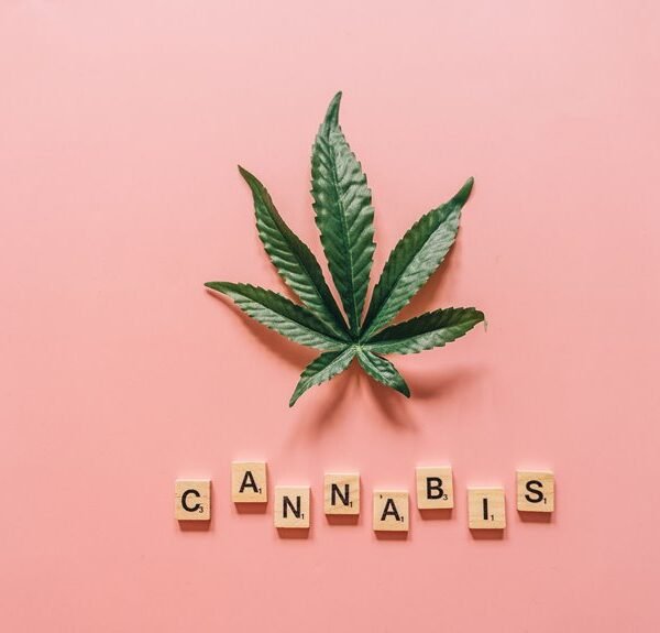 919120120 Cannabis Education and Essential&hellip;