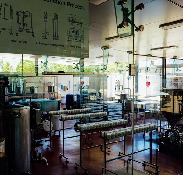 cbd production and innovations