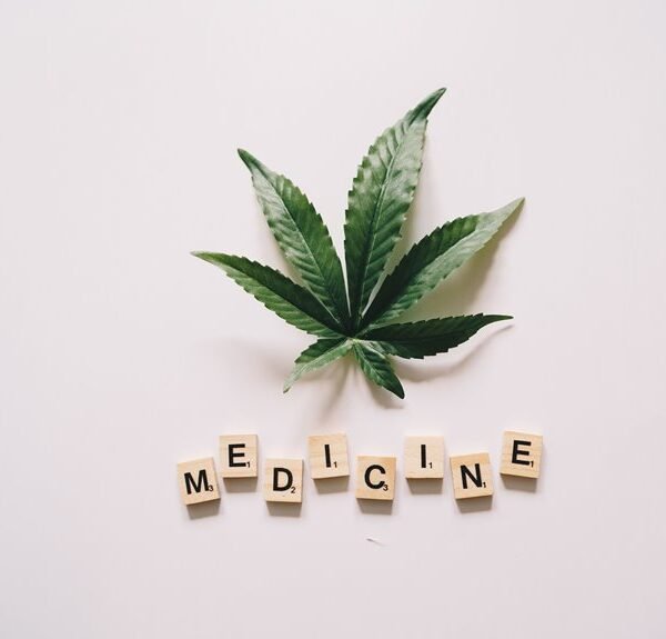 919199226 Hemp Wellness Trends in&hellip;