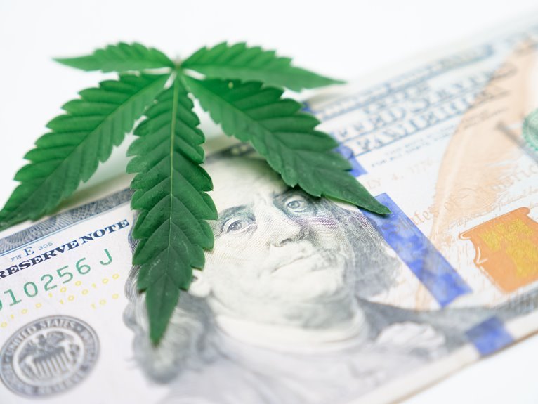 modern cannabis market trends